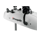 Электромотор HAIBO IPENGUIN P65 GPS 12V 53" (площадка+компас) в Симферополе